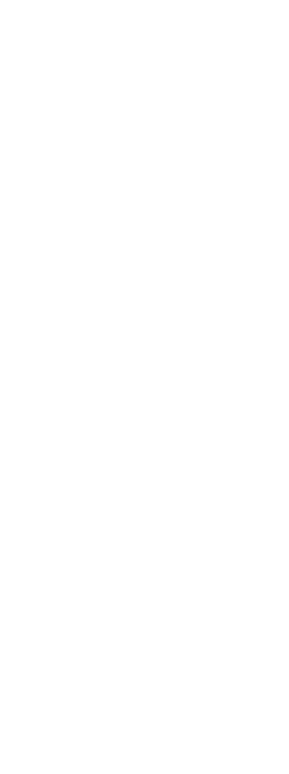 トップ画像